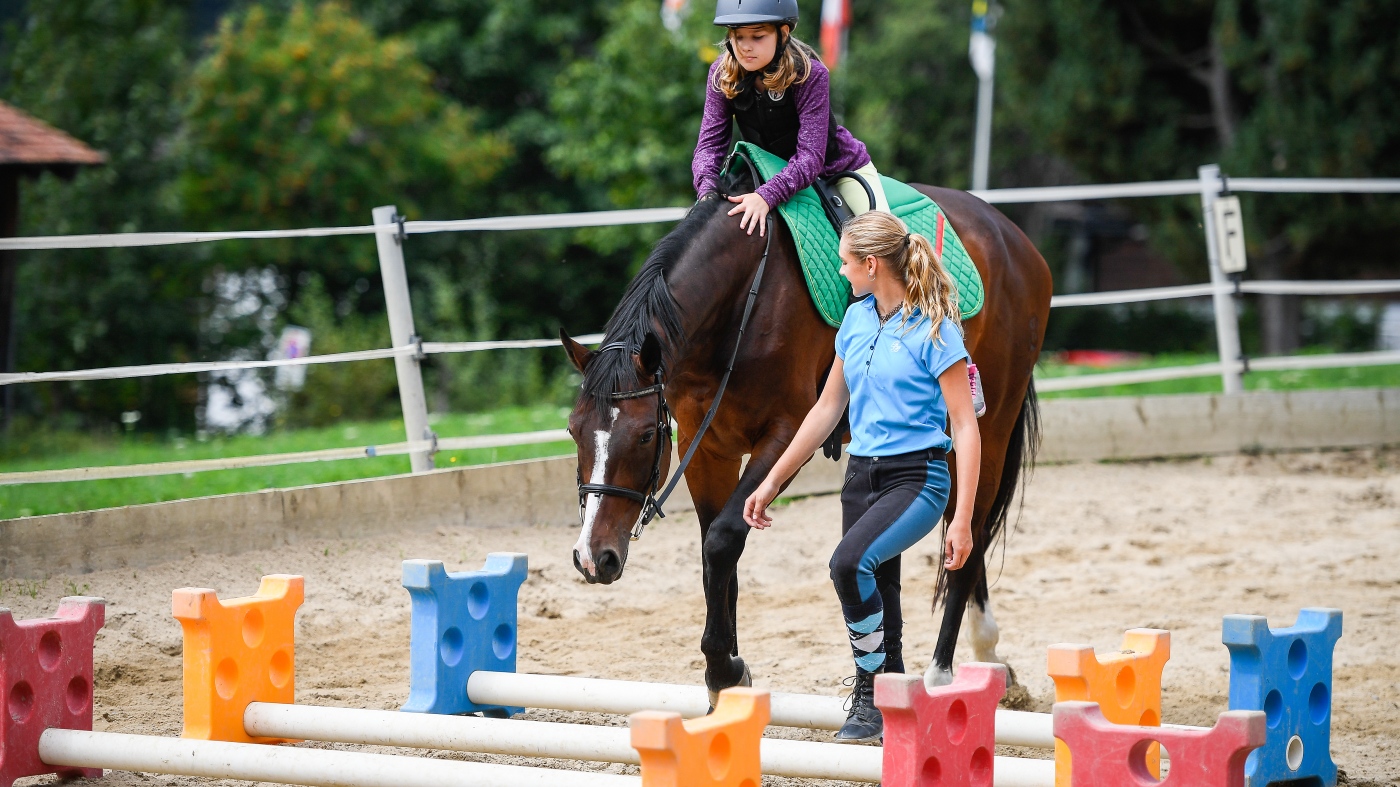 Stangenarbeit auf dem Reitplatz