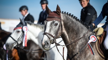 Rangverkündigung Pferdeconcours